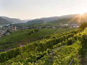 Images Dated 30th April 2021: Historic village Weissenkirchen located in wine-growing area, UNESCO World Heritage Site