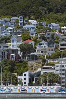 Neighborhood Prints: Historic Villas, Oriental Bay, and boatsheds at Clyde Quay Marina