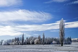Images Dated 28th June 2006: Hoar Frost and Farmland near Poolburn, Central Otago, South Island, New Zealand