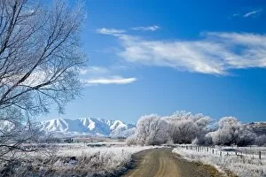 Images Dated 28th June 2006: Hoar Frost and Gravel Road near Oturehua, Central Otago, South Island, New Zealand