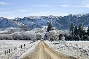 Images Dated 28th June 2006: Hoar Frost near Oturehua, Central Otago, South Island, New Zealand