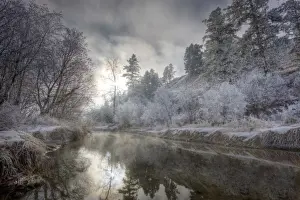 Hoarfrost along a slough at the Kelly Island FWP area along the Clark Fork River in Missoula