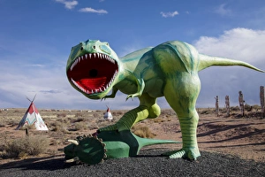 Images Dated 2nd February 2012: Holbrook, Arizona, United States. Route 66