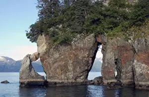 Point Prints: Three hole point on wildlife tour of Kenai Fjords National Park, Seward, Alaska