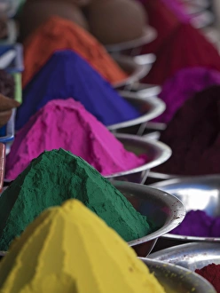 Holi powder paint for sale in Mysore, Karnataka, India