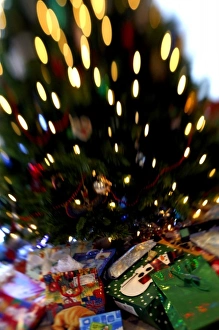 Celebrate Prints: Holiday still life. Christmas tree, blur. Property released