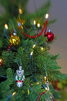 Images Dated 2006 December: 