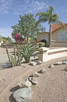 Home drought tolerant landscaping Phoenix, Arizona