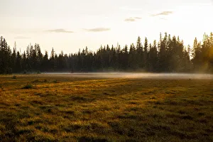 Prints of Homer, Alaska, Kenai Peninsula Images Dated 2020 March: Homer, Alaska, Kenai Peninsula