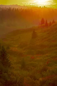 Prints of Homer, Alaska, scenic, sunset, golden, permafrost Images Dated 2020 March: Homer, Alaska, scenic, sunset, golden, permafrost