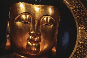 Hong Kong Prints: Hong Kong, Golden temple buddha at local cemetery