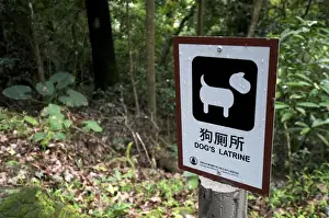 Hong Kong Prints: Hong Kong, Tai Po: Tai Po Kau Nature Park dog signage