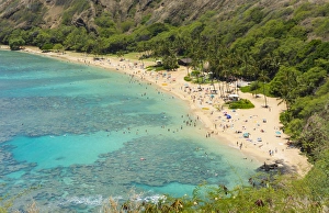 Images Dated 2030: Honolulu Hawaii Oahu famous reef at Hanauma Bay coral from above snorkelers beach