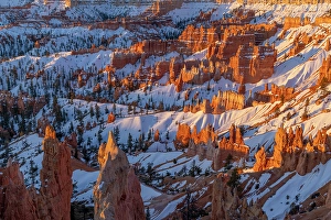 Prints of Hoodoos at first light at sunrise Point in Bryce Canyon National Park, Utah, USA. (Editorial Use Only) Images Dated 2024 September: Hoodoos at first light at sunrise Point in Bryce Canyon National Park