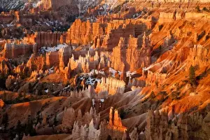 Terrain Prints: Hoodoos at Sunrise Point in Bryce Canyon National Park in Utah