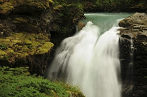 Hooksack Falls, Mount Baker-Snoqualmie National Forest, Washington, USA