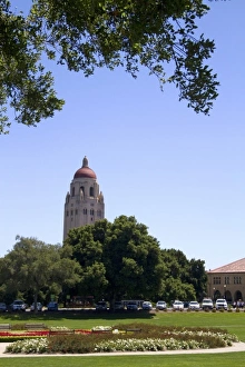 College Prints: Hoover Tower on the Stanford University campus in Palo Alto, California, USA