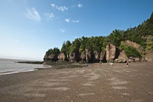 Holding Prints: Hopewell Rocks and The Ocean Tidal Exploration Site, New Brunswick, Canada