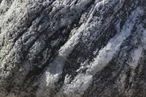Images Dated 11th May 2019: Hornblende granite rocks, California