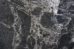 Images Dated 11th May 2019: Hornblende granite rocks, California