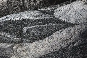Images Dated 11th May 2019: Hornblende granite rocks, California