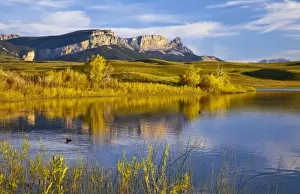 Augusta Prints: Horned grebes in Anderson Lake with Sawtooth Ridge and the rocky Mountain Front near Augusta