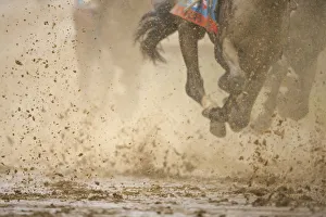 Strength Prints: Horse racing in the mud