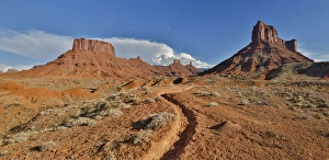 Utah Prints: Horse trail leading into Professor Valley, Utah