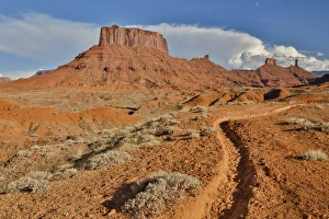 Images Dated 10th October 2016: Horse trail leading into Professor Valley, Utah