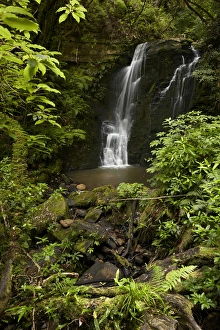 Images Dated 13th February 2012: Horseshoe Falls, Matai Falls, Catlins, South Otago, South Island, New Zealand