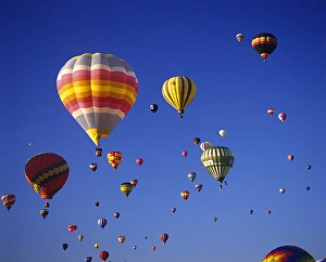 Images Dated 22nd February 2015: Hot Air Ballons aloft at the Albuquerque Ballon Festival, Albuquerque, New Mexico