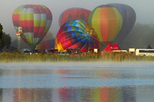 Hot air balloons, Balloons over Waikato Festival, Lake Rotoroa, Hamilton, Waikato