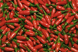 Ripe Prints: Hot chili peppers (Capsicum L)