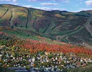 Park City Prints: Houses in older section of Park City & Ski Resort covered in Fall Colors, Utah