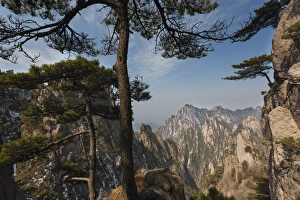 Jagged Prints: Huang Shan landscape, China