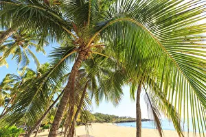 Hulopo e Beach Park, considered one of the finest beaches in the world, Lanai Island