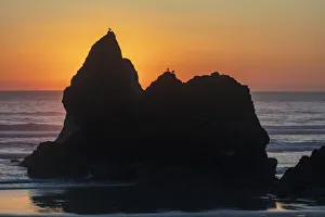 Images Dated 2021 April: Humbug Point at sunset near Cannon Beach, Oregon, USA