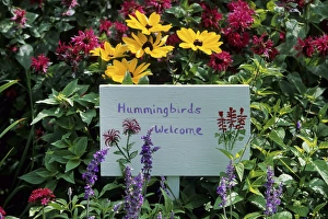 Images Dated 7th January 2016: Hummingbirds Welcome sign in hummingbird garden, Marion Co. IL