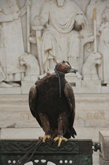 Images Dated 13th September 2009: Hungary, Budapest. Buda, Castle Hill, Fishermens Bastion, falconry demonstration