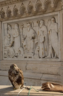 Hungary, Budapest. Buda, Castle Hill, Fishermens Bastion, falconry demonstration