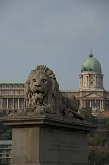 Hungarian Prints: Hungary, Budapest. Historic Chain Bridge connecting Buda & Pest across the Danube River
