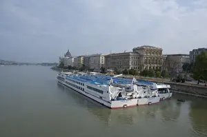 Hungarian Prints: Hungary, Budapest. Viking Riverboats docked along the Pest side of the Danube River