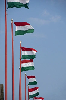 Images Dated 13th September 2009: Hungary, capital city of Budapest. Buda, Castle Hill, Hungarian flags