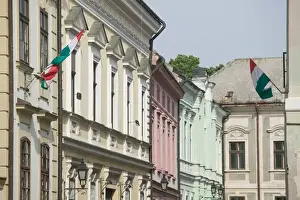 Castle Hill Prints: HUNGARY-Lake Balaton Region-VESZPREM: Castle Hill- Building Detail
