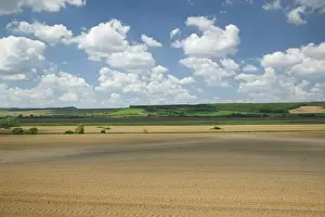 Transdanubia Prints: HUNGARY-Southern Transdanubia-KOMLO: Transdanubian Farm Fields