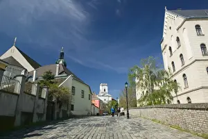Images Dated 9th May 2004: HUNGARY-WESTERN TRANSDANUBIA-Gyor: Kaptalan Domb Hill & Bishops Castle