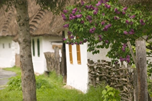 Images Dated 8th May 2004: HUNGARY-WESTERN TRANSDANUBIA-Szombathely: Vas Museum Village / Open Air Museum