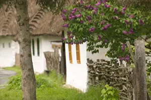 Images Dated 8th May 2004: HUNGARY-WESTERN TRANSDANUBIA-Szombathely: Vas Museum Village / Open Air Museum