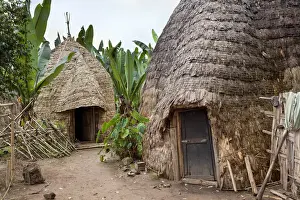 Banana Prints: Huts of the Dorze people in the Guge Mountains of Ethiopia with groves of cooking banana