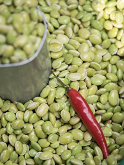 Vegetarian Prints: Hyacinth beans and red chili pepper, Mysore, Karnataka, India